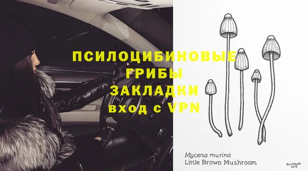 a pvp Михайлов