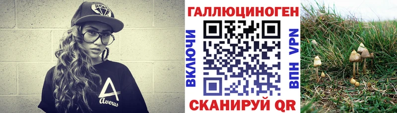 купить наркотик  Ноябрьск  Псилоцибиновые грибы Magic Shrooms 